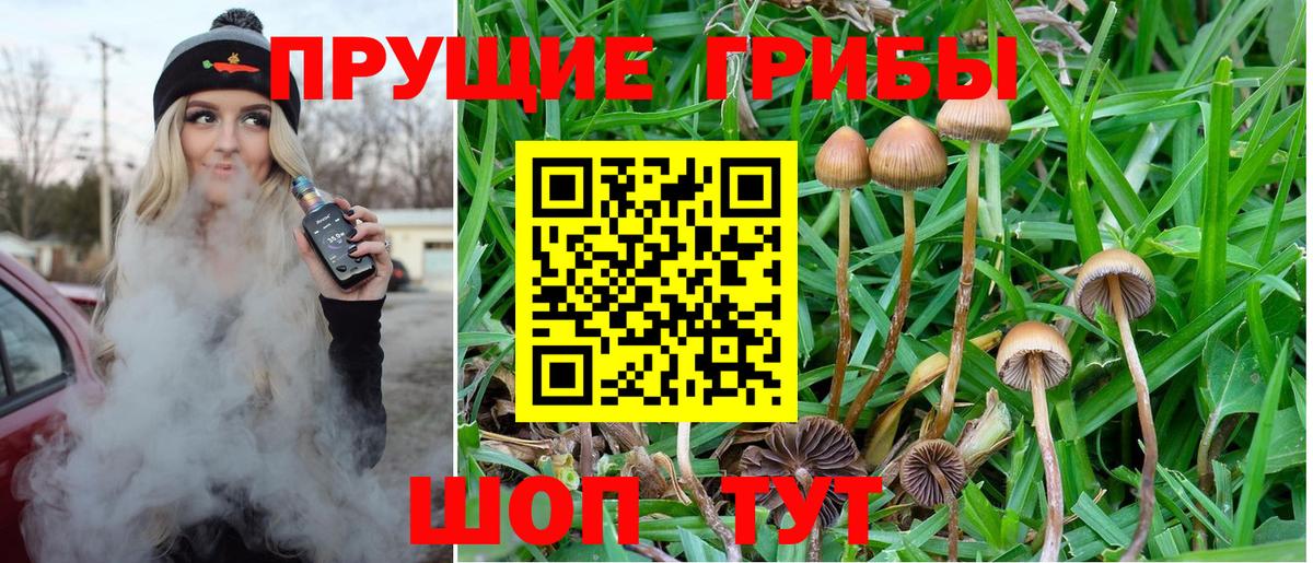 Галлюциногенные грибы Psilocybine cubensis  Псилоцибиновые грибы Magic Shrooms  Вход с VPN  Мончегорск 